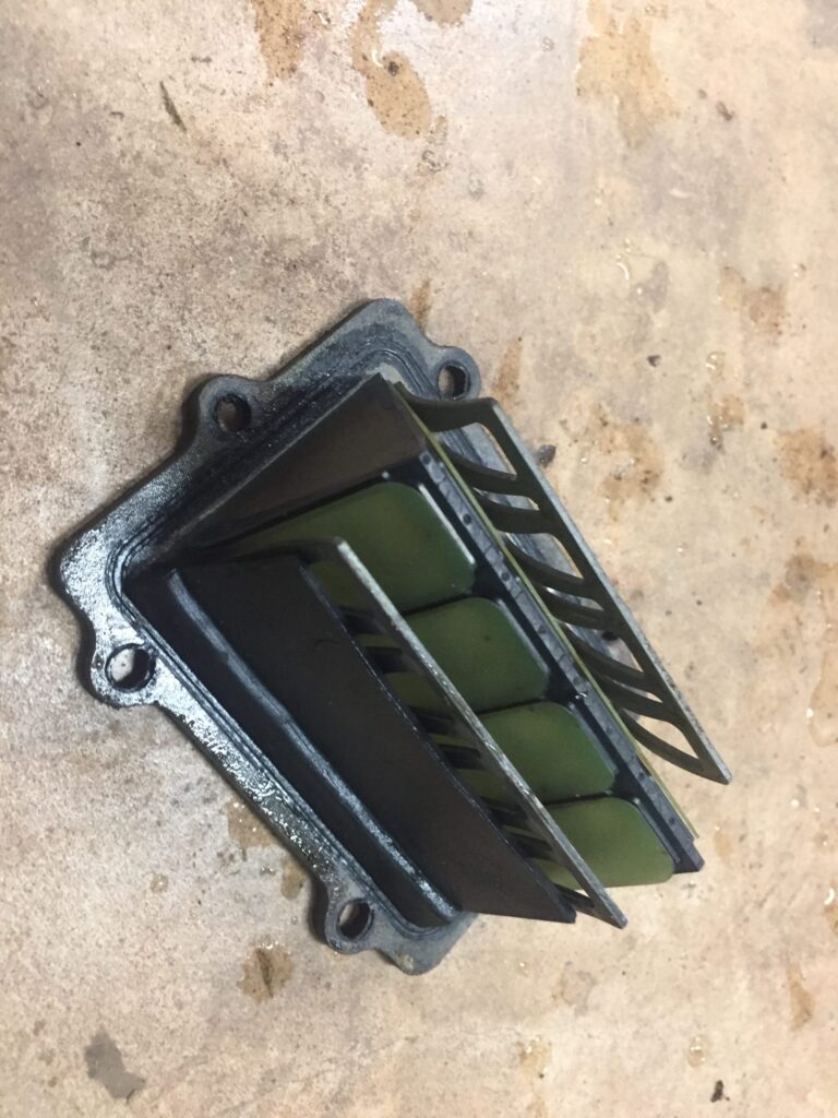 Polaris 700 Reed Valve Assembly