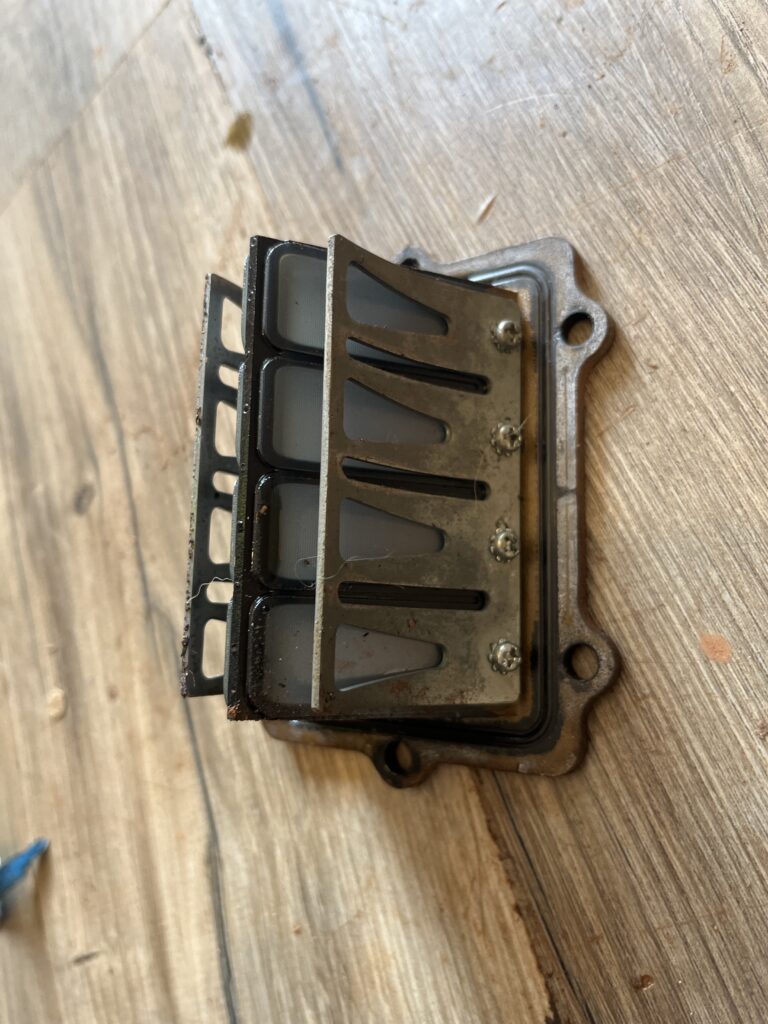 Polaris OEM Reedvalve (1201592)(5411251)