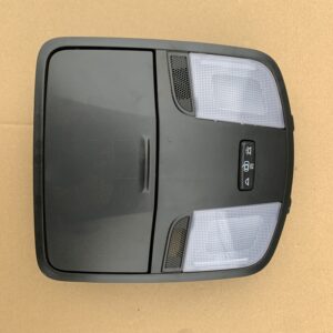 OEM Overhead Console Map Light Assembly 92800-F2000