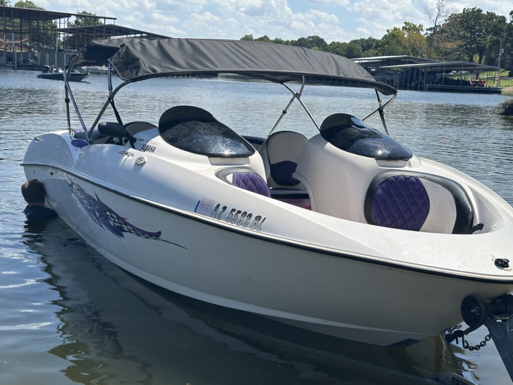 2001 Yamaha LS2000
