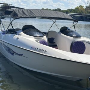 2001 Yamaha LS2000