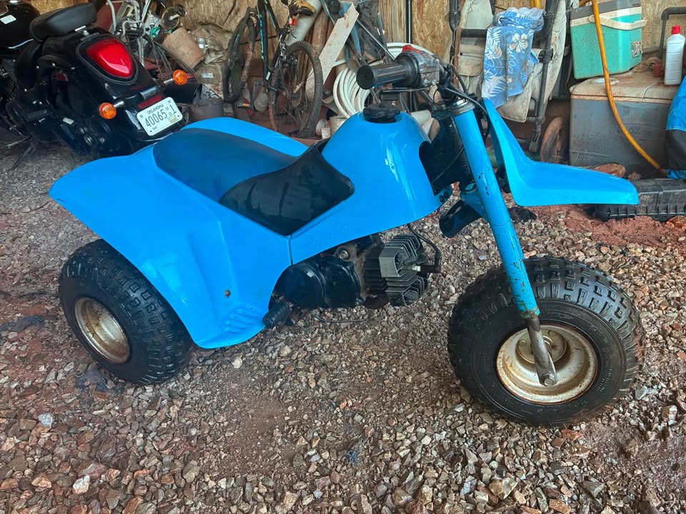 1985 Yamaha tri-z yt60